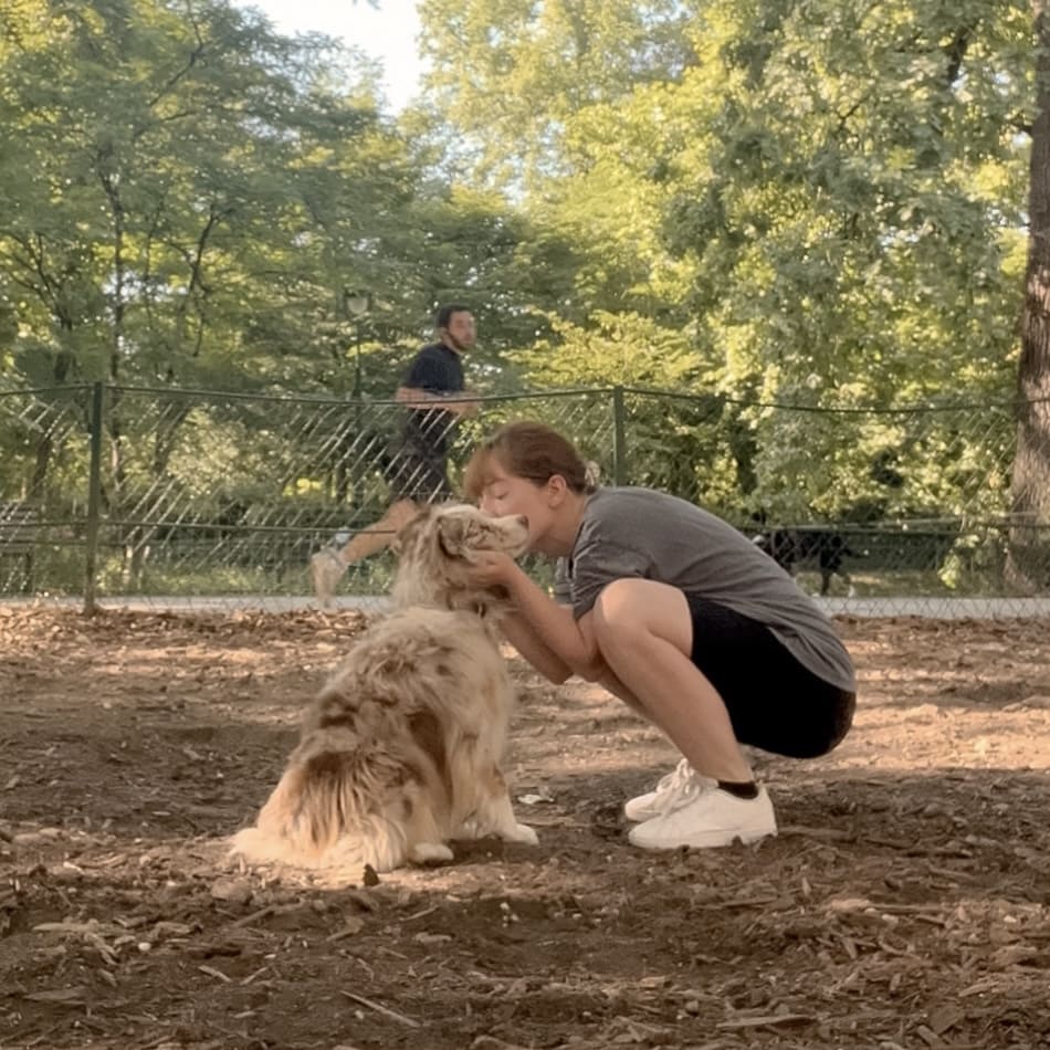 Gang de Patounes Pet Sitter Dog Sitter Bordeaux