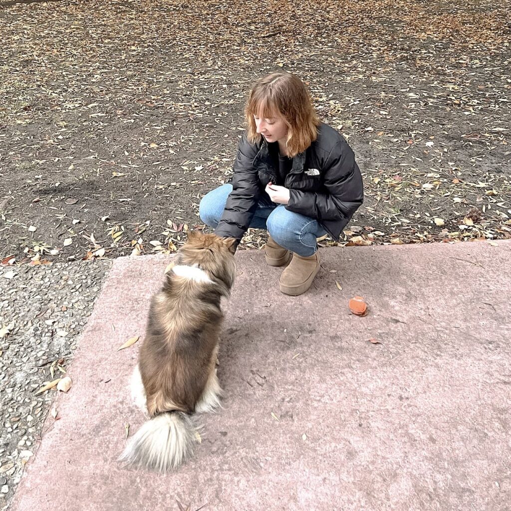 Dog Sitter Bordeaux Gang de Patounes Promenades Canines Educateur Canin Communication animale pour chiens Garderie pour chiens Pension pour chiens