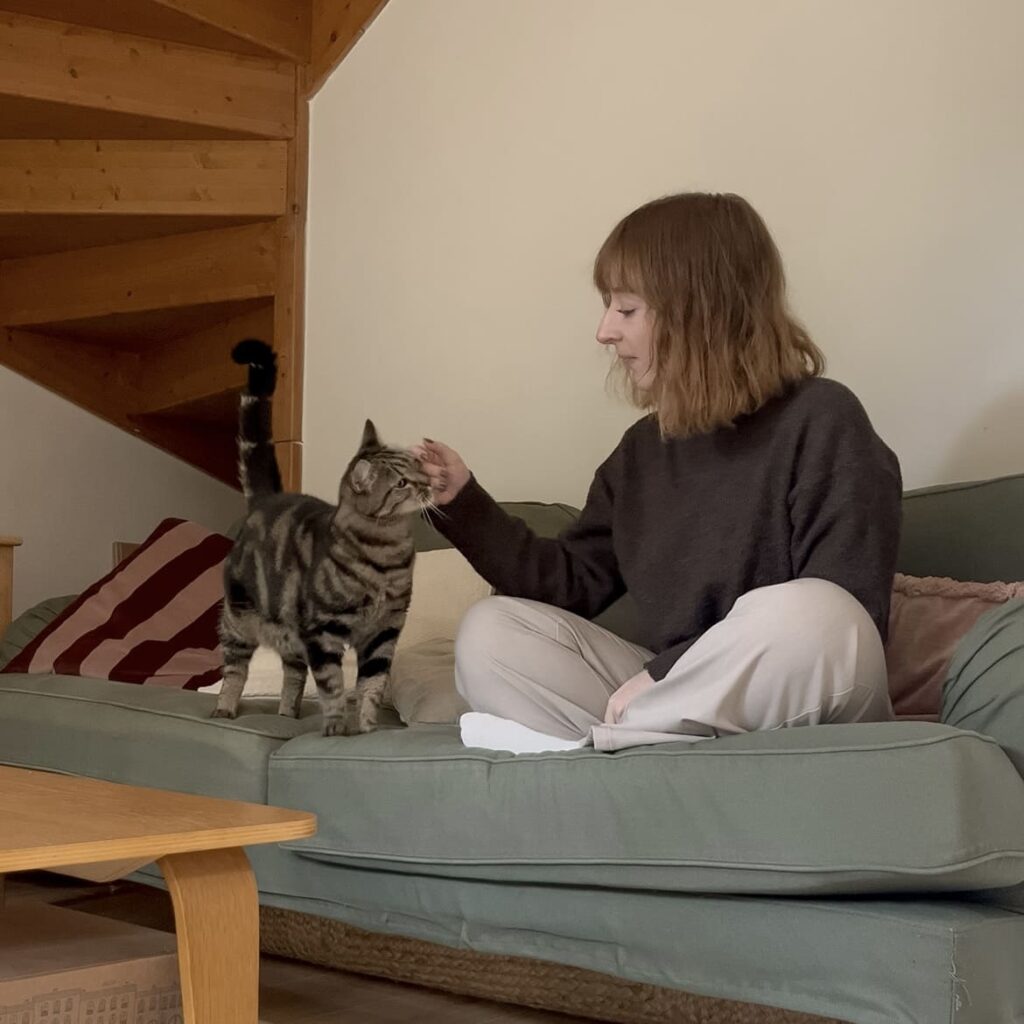 education feline contact Communication animale pour chats Visites à domicile pur chats Gang de Patounes Cat Sitter Bordeaux Pet Sitter Comportementaliste chat