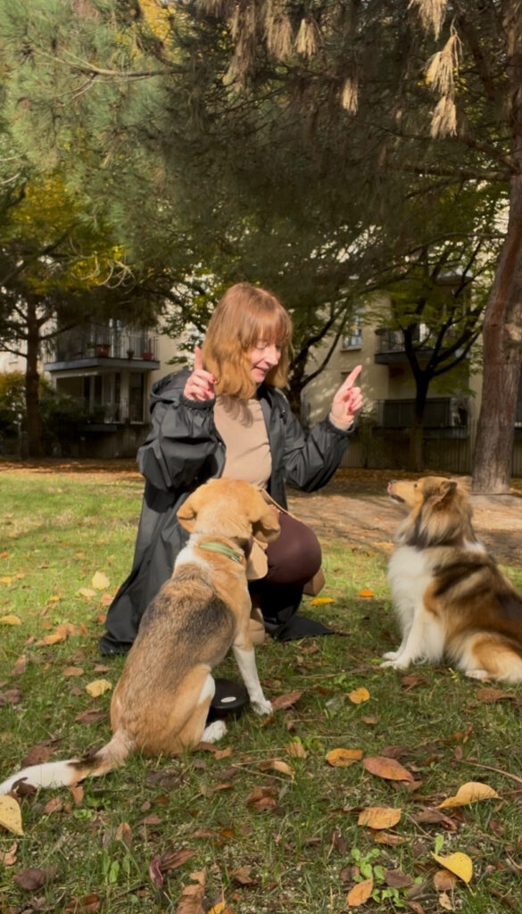 Garderie pour chiens Pension pour chiens Pet Sitter Bordeaux Gang de Patounes Dog Sitter Education canine garderie chien bordeaux