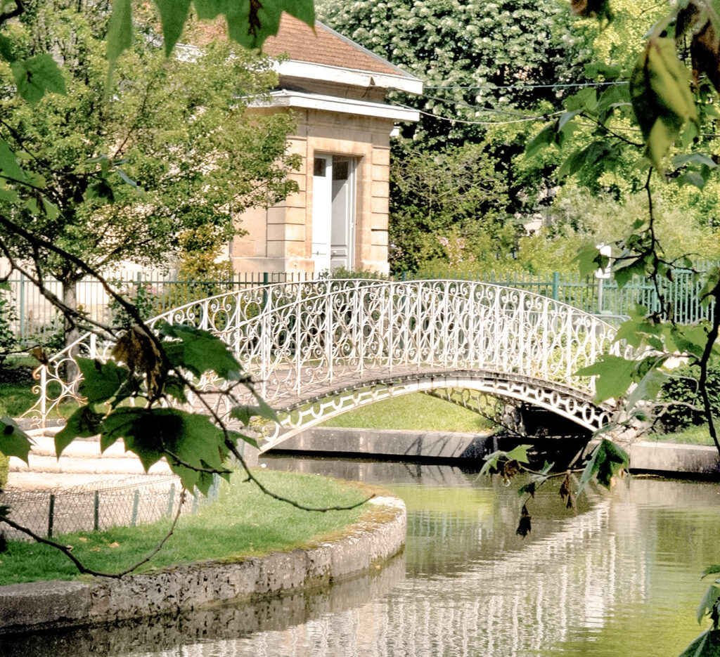 Pet Sitter Gang de Patounes Cat Sitter Dog Sitter Talence