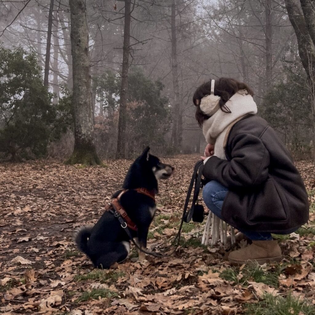 Educateur canin bordeaux comportementaliste comportementalisme dog sitter gang de patounes