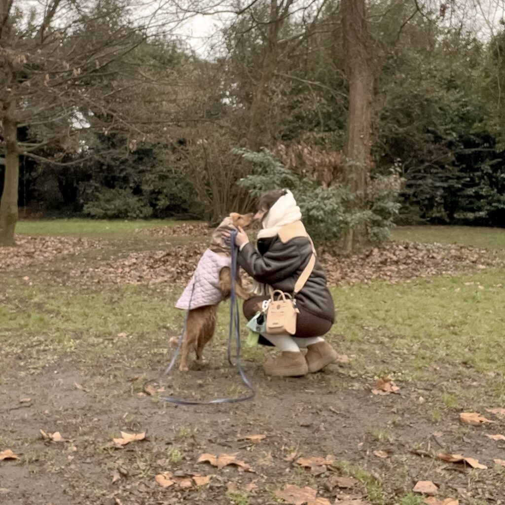 Educateur canin bordeaux comportementaliste comportementalisme dog sitter gang de patounes