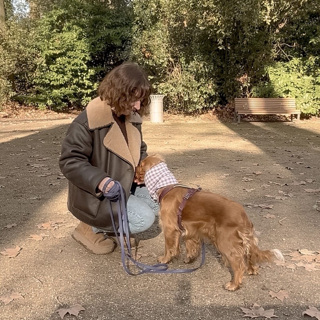 Educateur canin bordeaux comportementaliste comportementalisme dog sitter bordeaux gang de patounes promenade chien bordeaux