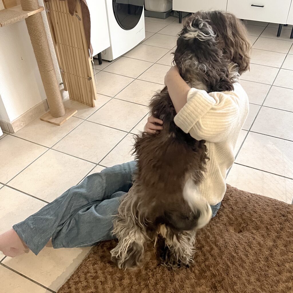 Educateur canin bordeaux comportementaliste comportementalisme dog sitter gang de patounes