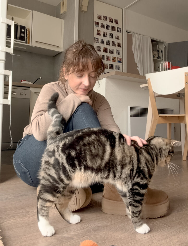 pension pour chat bordeaux gang de patounes cat sitter